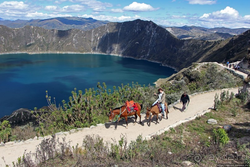 Без лошадок мы бы не выбрались