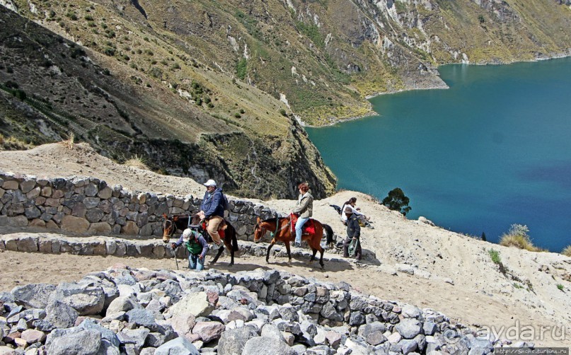 Без лошадок мы бы не выбрались