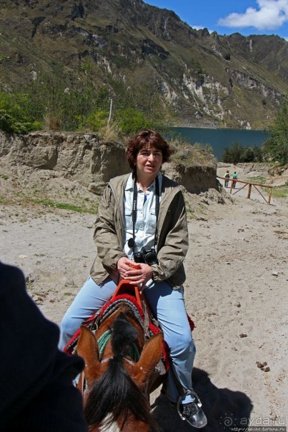 Без лошадок мы бы не выбрались