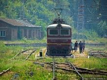 Лакатник — такой прекрасный, такой обманчивый