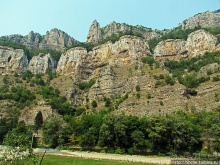 Лакатник — такой прекрасный, такой обманчивый