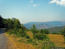 Лакатник — такой прекрасный, такой обманчивый