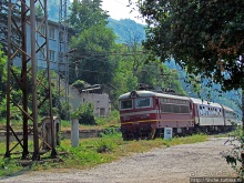 Лакатник — такой прекрасный, такой обманчивый