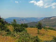 Лакатник — такой прекрасный, такой обманчивый