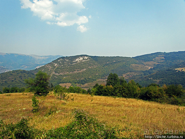 Лакатник — такой прекрасный, такой обманчивый