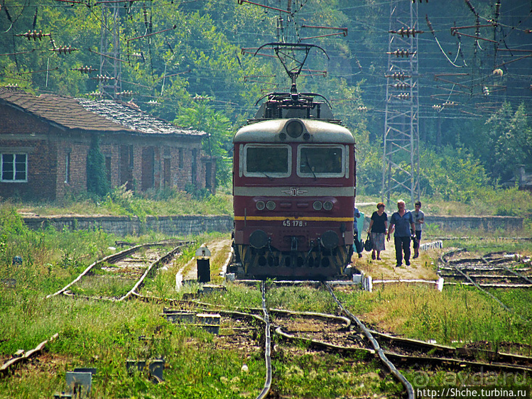 Лакатник — такой прекрасный, такой обманчивый