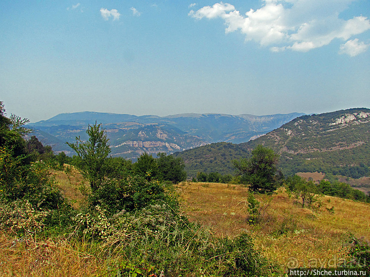 Лакатник — такой прекрасный, такой обманчивый