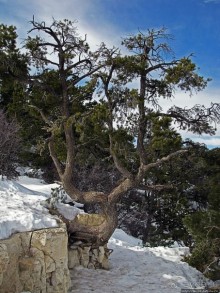 Гранд — потому что ну очень большой