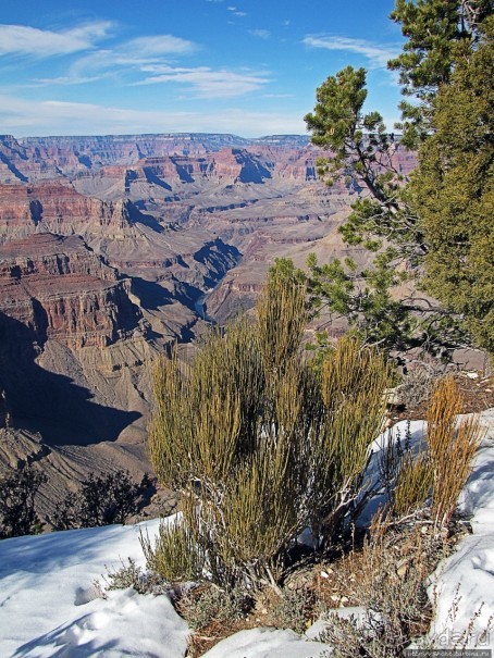 Гранд — потому что ну очень большой