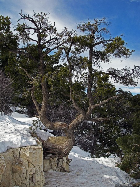 Гранд — потому что ну очень большой