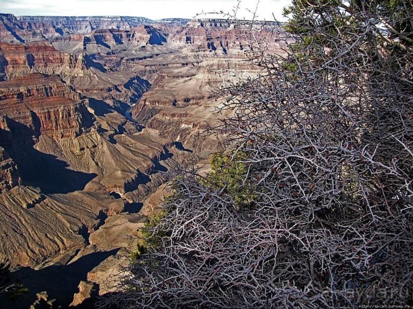 Гранд — потому что ну очень большой
