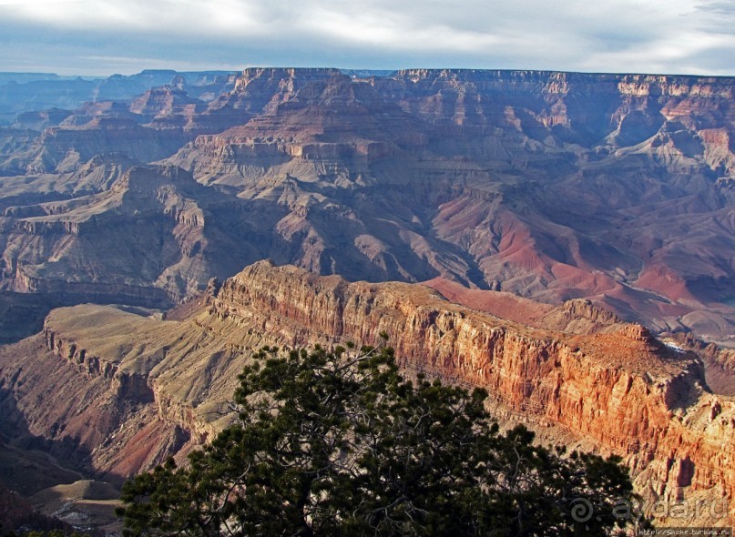 Гранд — потому что ну очень большой
