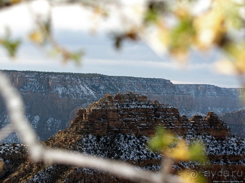 Гранд — потому что ну очень большой