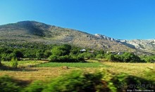 Альбом отзыва "Живописные склоны Герцеговины. Дорога от Требинье до Мостара"