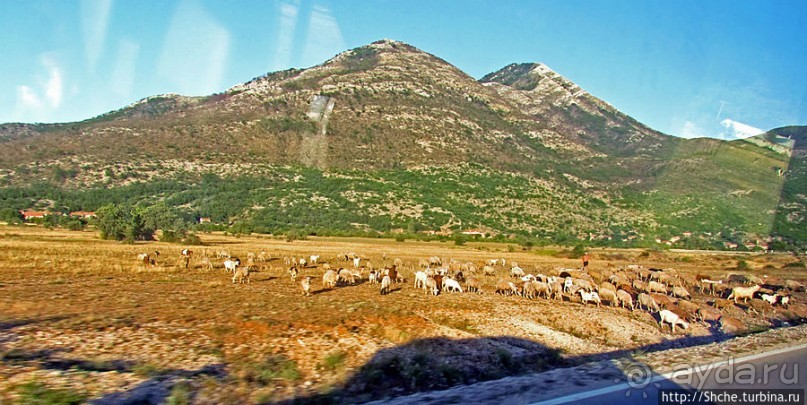 Живописные склоны Герцеговины. Дорога от Требинье до Мостара