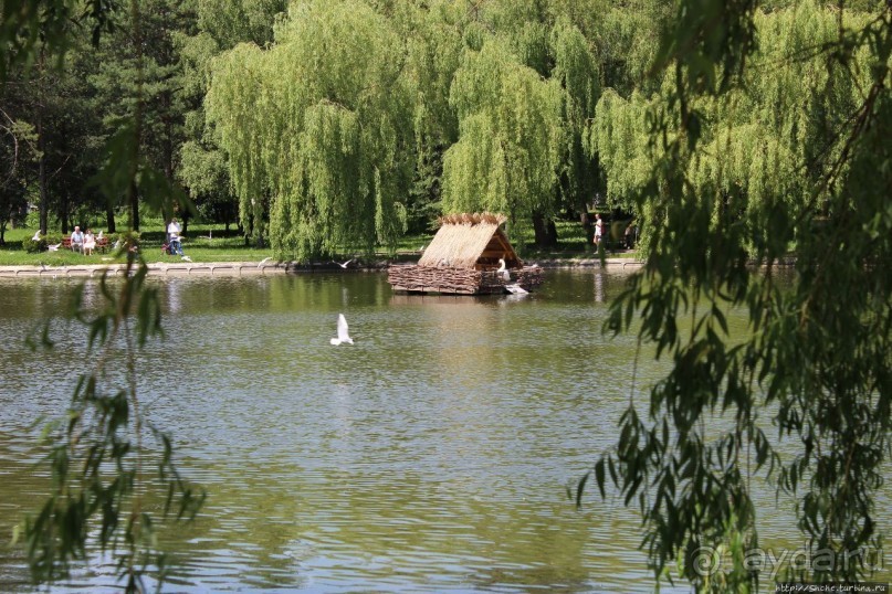 Альбом отзыва "Ясный день на Лебедином озере"