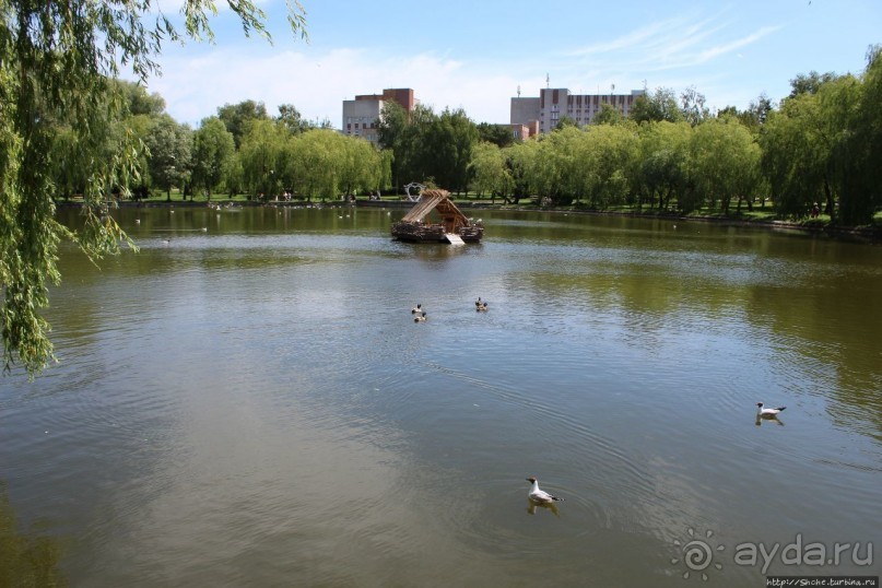 Ясный день на Лебедином озере