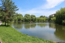 Ясный день на Лебедином озере