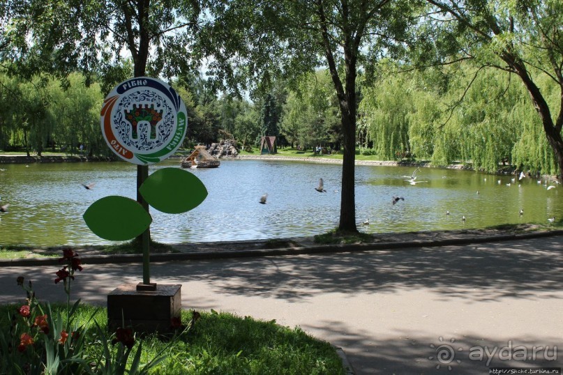 Альбом отзыва "Ясный день на Лебедином озере"