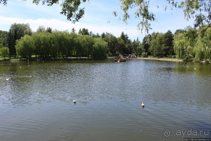 Альбом отзыва "Ясный день на Лебедином озере"