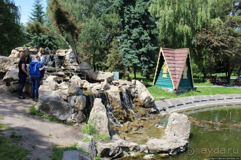 Ясный день на Лебедином озере