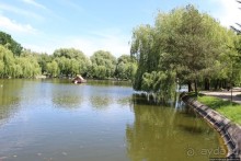 Ясный день на Лебедином озере