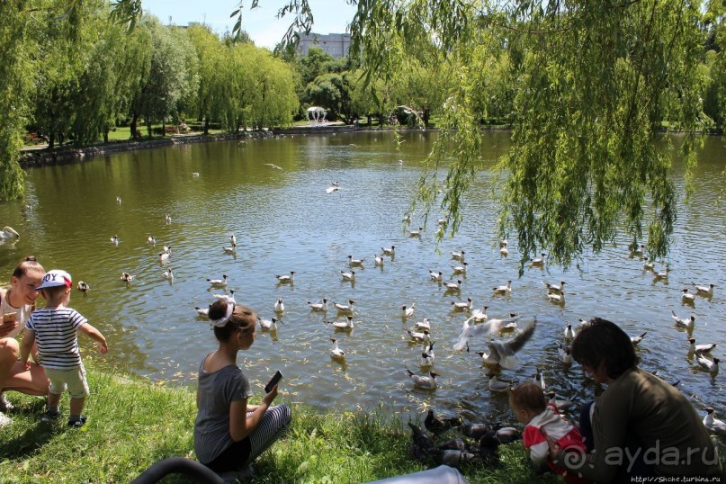 Альбом отзыва "Ясный день на Лебедином озере"