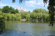 Ясный день на Лебедином озере