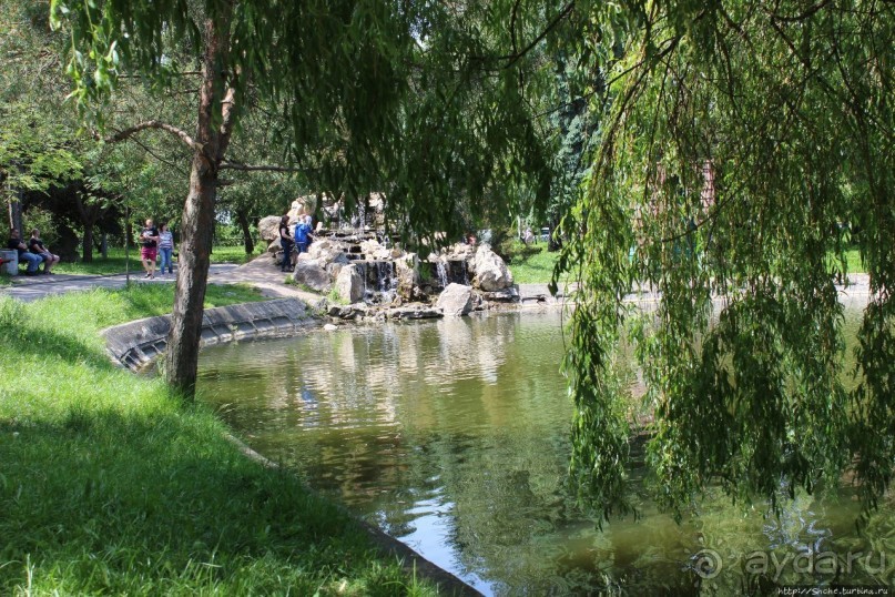 Ясный день на Лебедином озере