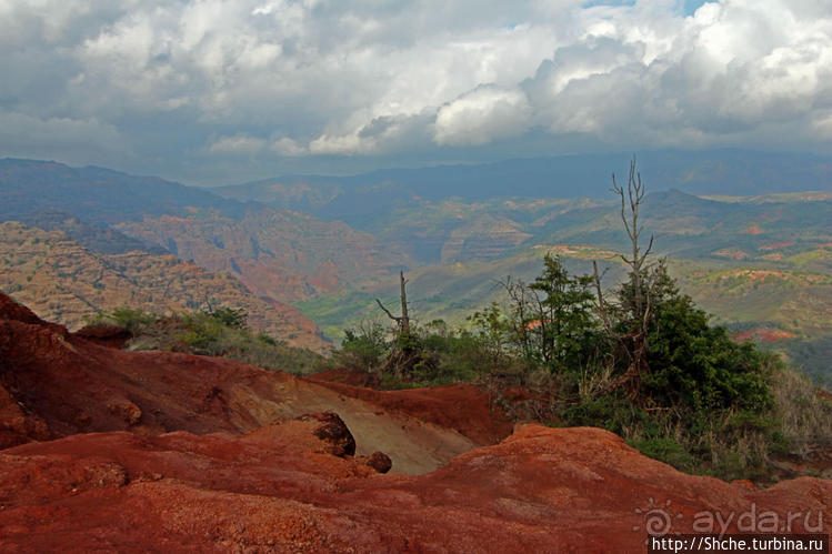 Кислотно-красный склон каньона Ваймеа