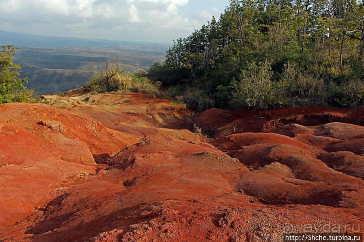 Кислотно-красный склон каньона Ваймеа