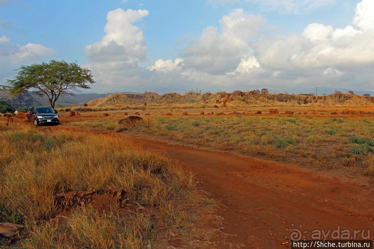 Кислотно-красный склон каньона Ваймеа
