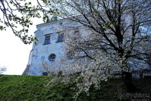 Замок в Олесько. Сколько же можно проезжать мимо