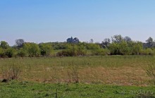 Замок в Олесько. Сколько же можно проезжать мимо