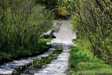 Замок в Олесько. Сколько же можно проезжать мимо