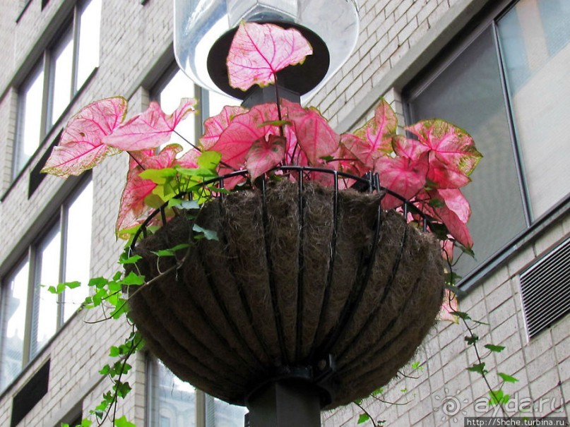 Мантхэттен. Шаг влево, шаг вправо — кошмар