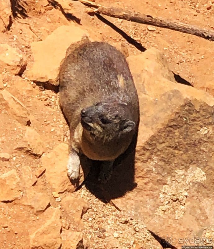 Во истину велика "Великая рифтовая долина"