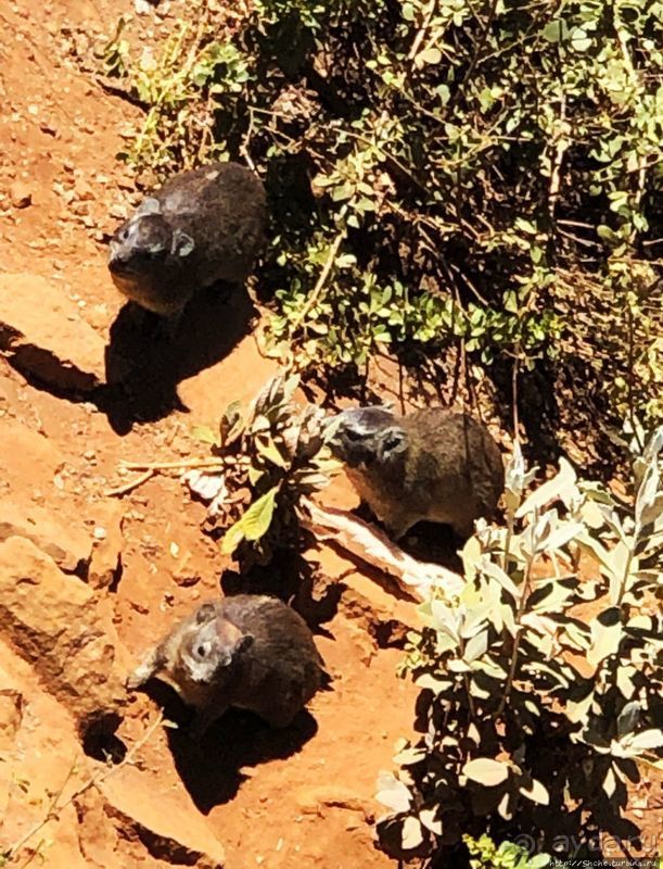 Во истину велика "Великая рифтовая долина"