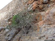 Спинолонга - остров-крепость на входе в залив Мирабелла