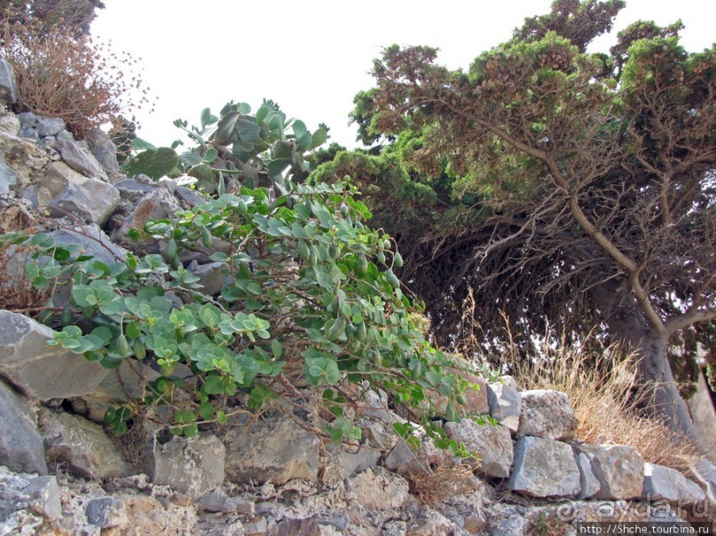 Спинолонга - остров-крепость на входе в залив Мирабелла