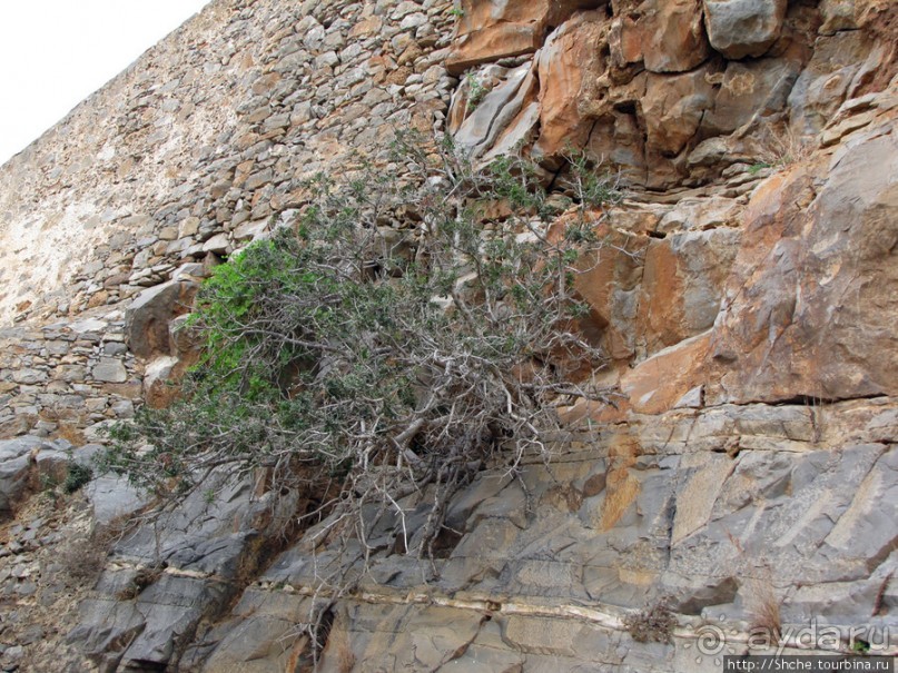 Спинолонга - остров-крепость на входе в залив Мирабелла