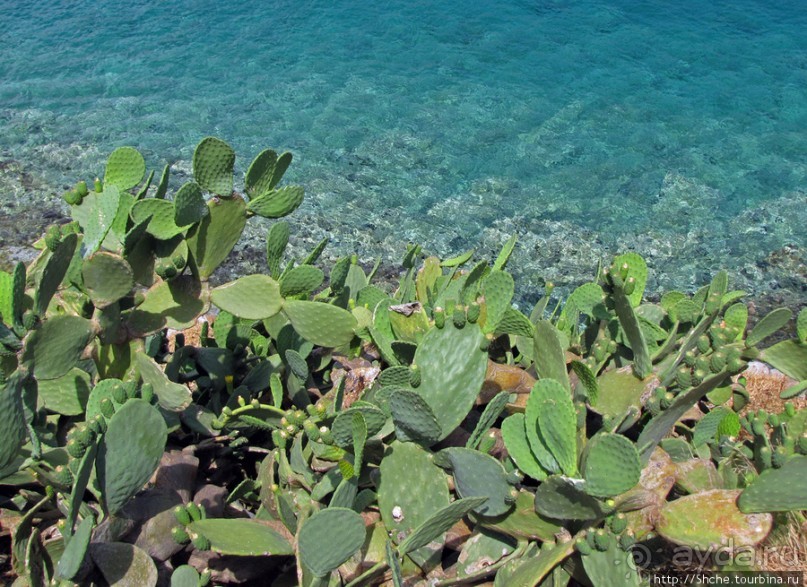 Спинолонга - остров-крепость на входе в залив Мирабелла