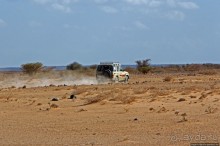 Картинки из Джибути