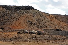 Картинки из Джибути