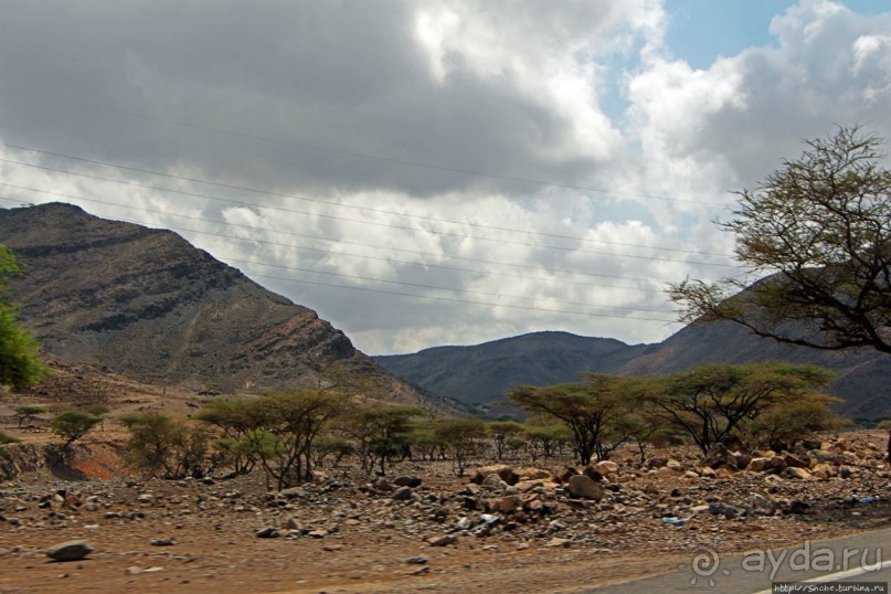 Картинки из Джибути