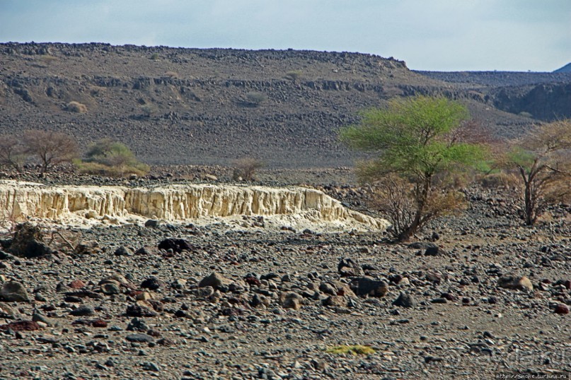 Картинки из Джибути