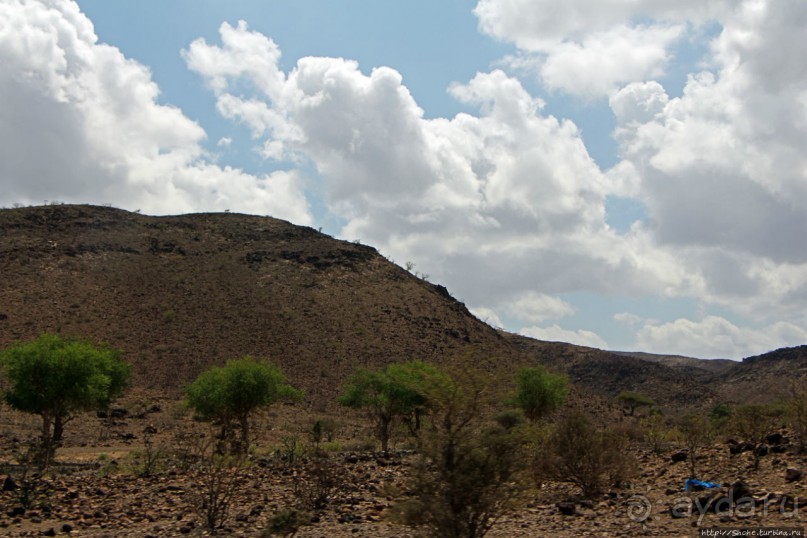 Картинки из Джибути