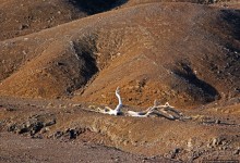 Картинки из Джибути