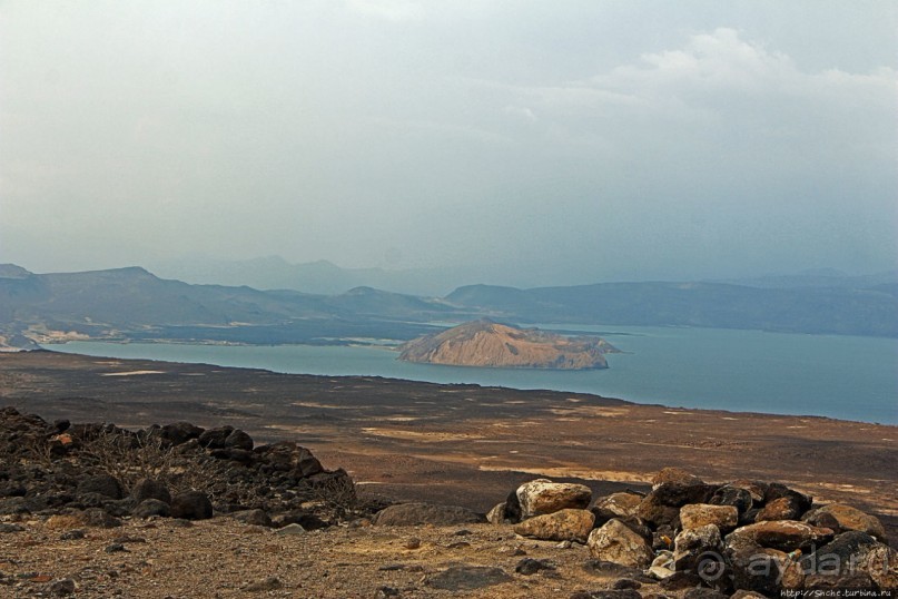 Картинки из Джибути