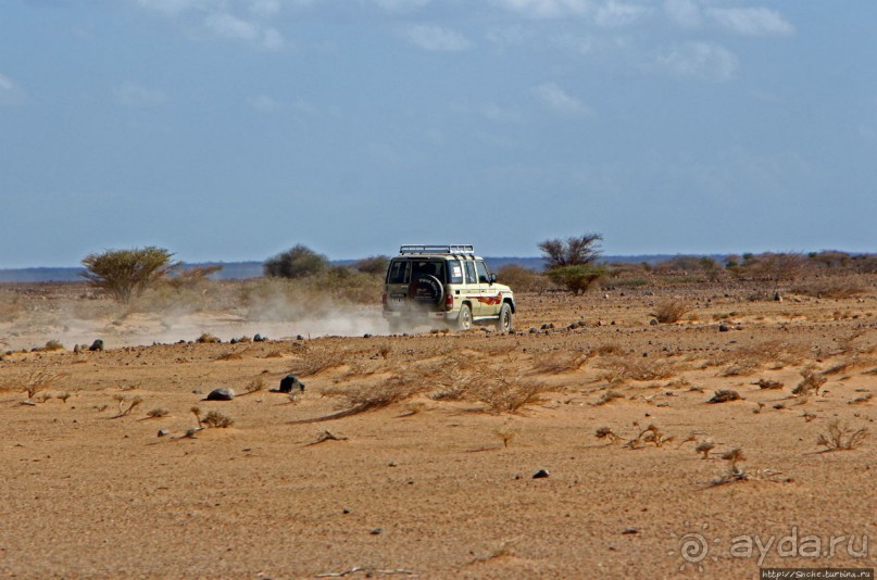 Картинки из Джибути